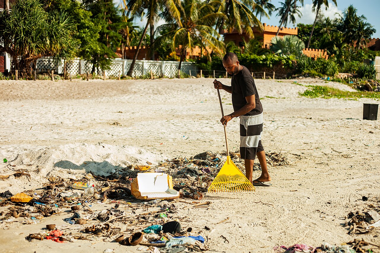 Researchers conducting a standardized litter survey on a Tanzanian coastline.